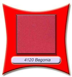 4120_begonia