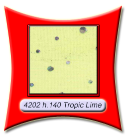 4202_tropic_lime