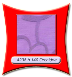 4208_orchidea