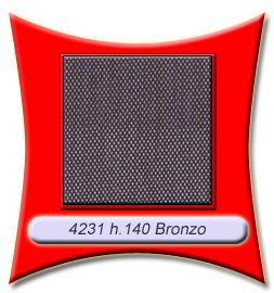 4231_bronzo