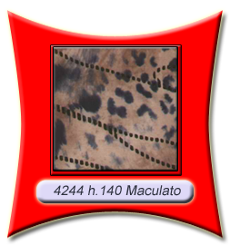 4244_maculato