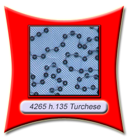 4265_turchese