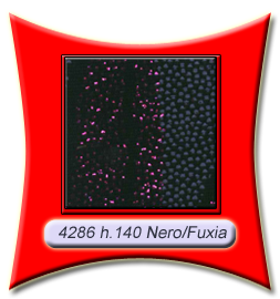 4286_nero_fuxia