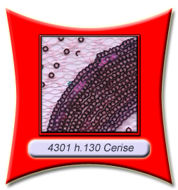 4301_cerise