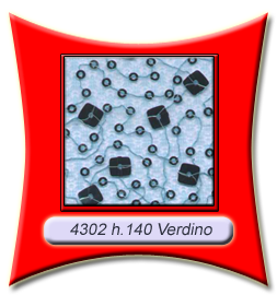 4302_verdino