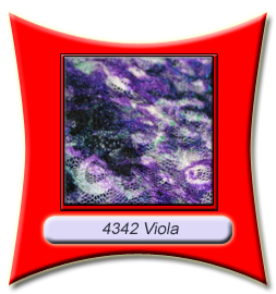 4342_viola