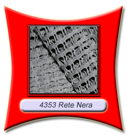 4353_rete_nera