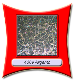 4369_argento