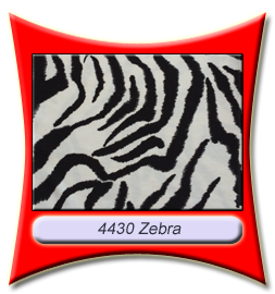 4430_Zebra