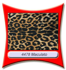 4478_Maculato