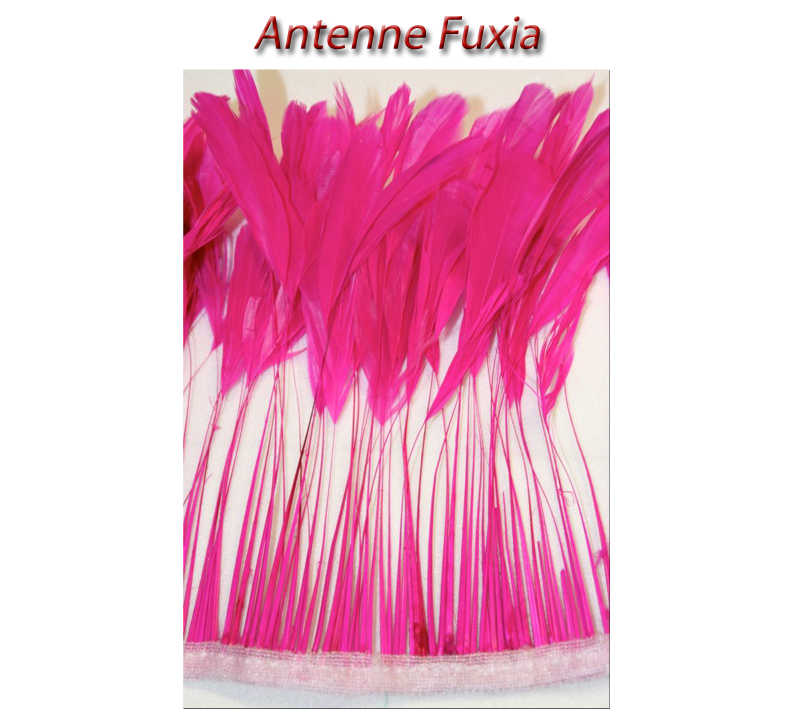 antenne_fuxia