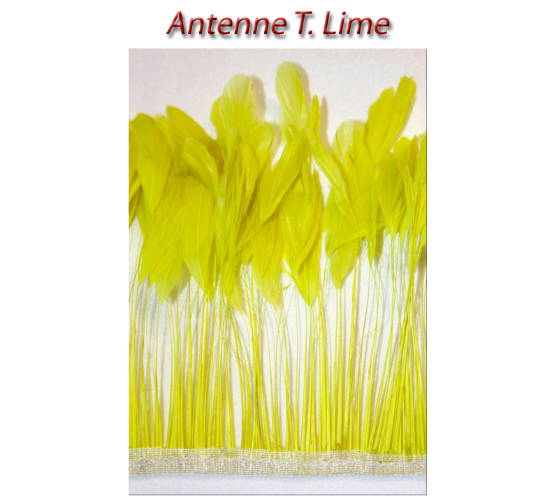 antenne_lime