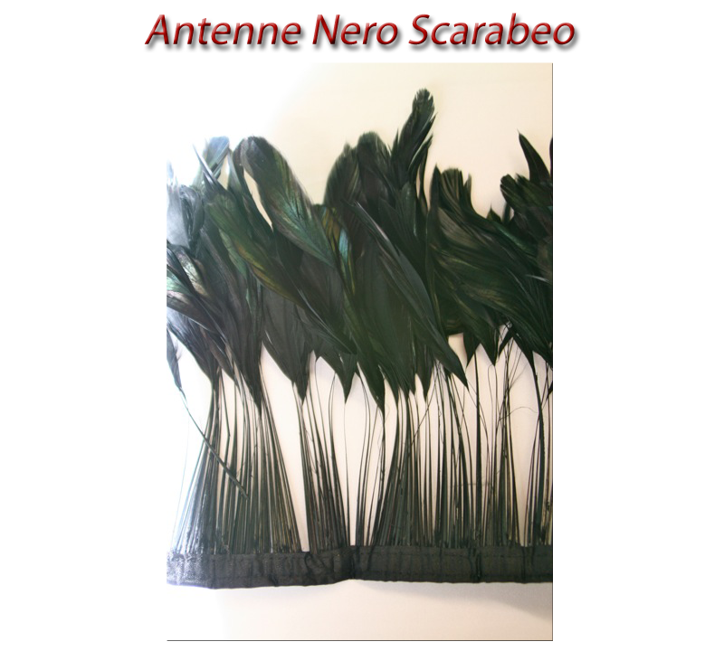 antenne_nero_scarabeo