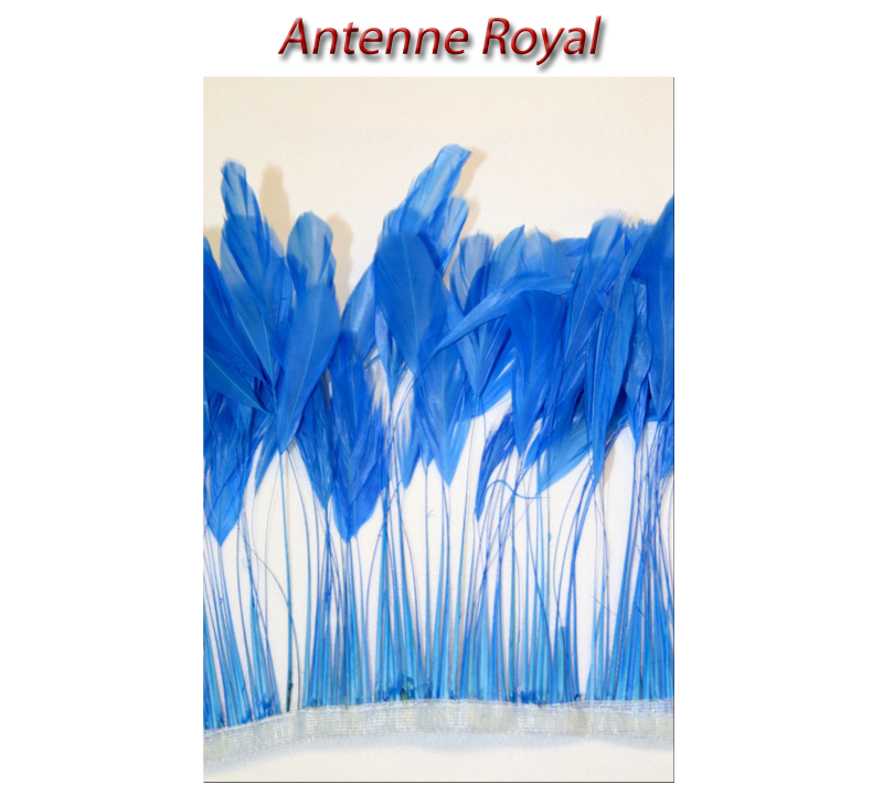antenne_royal