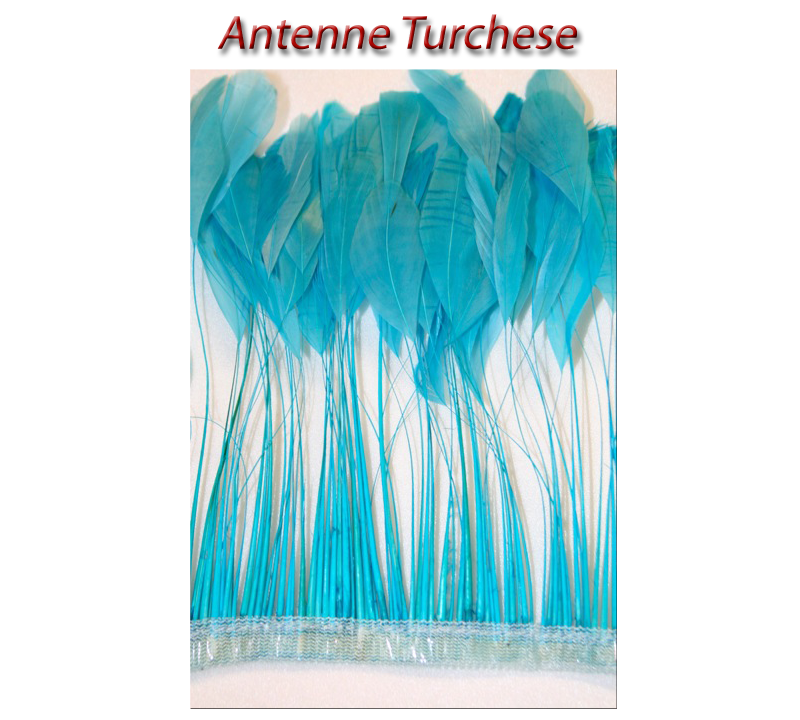 antenne_turchese